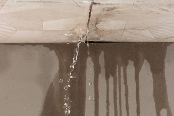Professional Structural Drying technician working in Spruce Pine, AL